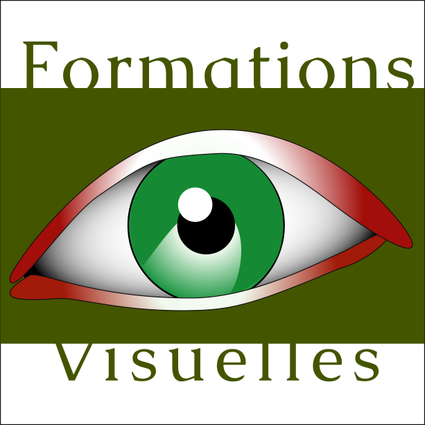 logo formations visuelles